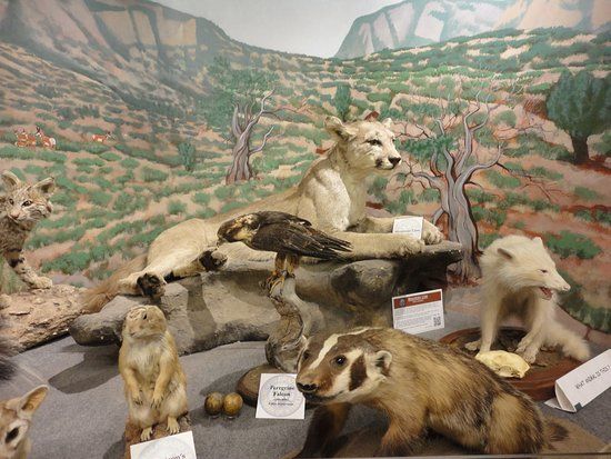 Durango Fish Hatchery and Wildlife Museum